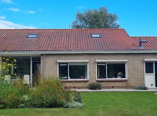 vies dak voor het reinigen